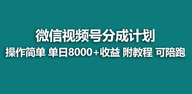 【蓝海项目】视频号分成计划最新玩法，单天收益8000+，附玩法教程，24年...-鼎铸网