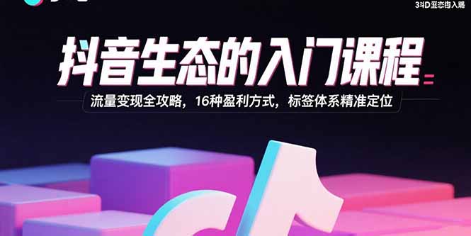 抖音生态的入门课程：流量变现全攻略，16种盈利方式，标签体系精准定位-鼎铸网