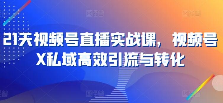 21天视频号直播实战课，视频号X私域高效引流与转化-鼎铸网