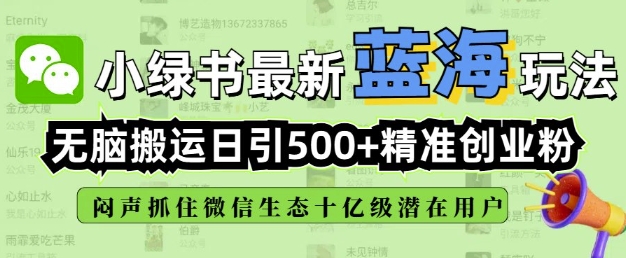 小绿书无脑搬运引流，全自动日引500精准创业粉，微信生态内又一个闷声发财的机会-鼎铸网