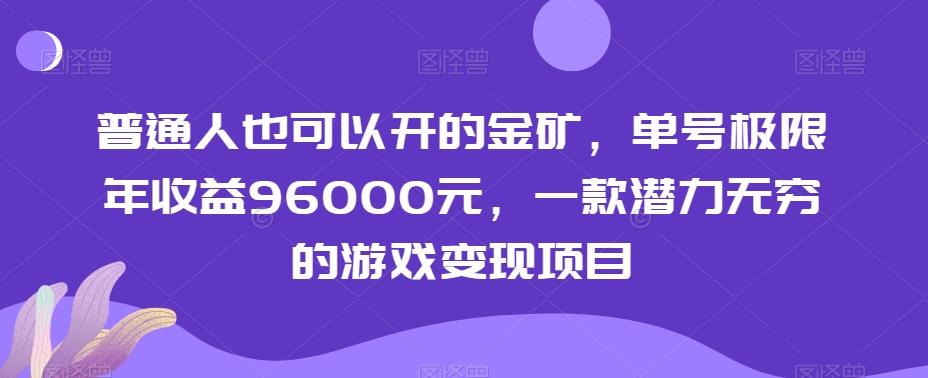 普通人也可以开的金矿，单号极限年收益96000元，一款潜力无穷的游戏变现项目【揭秘】-鼎铸网