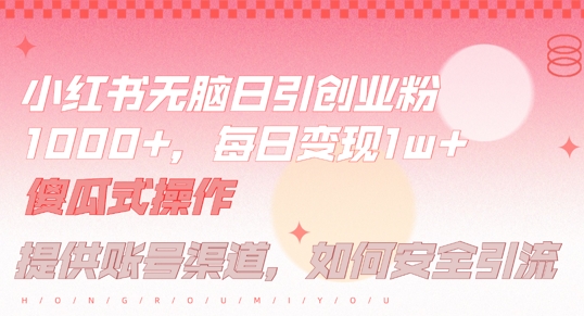 小红书无脑每日引流创业粉500+，小白每天只花半小时，躺赚长尾收益【揭秘】-鼎铸网