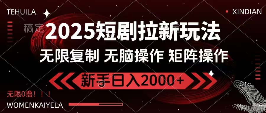2025短剧拉新玩法，无需注册登录，无限0撸，无脑批量操作日入2000+-鼎铸网