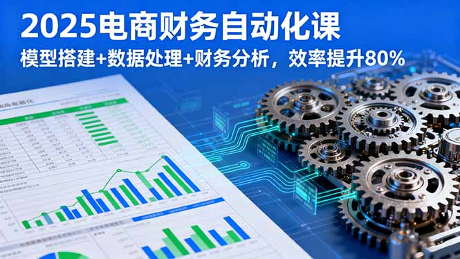 2025电商财务自动化课，模型搭建+数据处理+财务分析，效率提升80%-鼎铸网