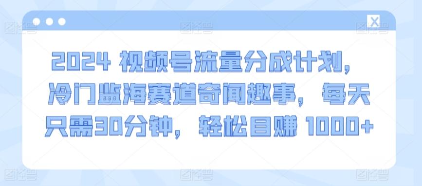 2024视频号流量分成计划，冷门监海赛道奇闻趣事，每天只需30分钟，轻松目赚 1000+【揭秘】-鼎铸网