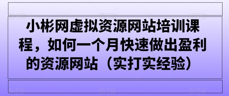 小彬网虚拟资源网站培训课程，如何一个月快速做出盈利的资源网站(实打实经验)-鼎铸网