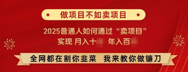 必看，做项目不如卖项目，2025普通人如何通过“卖项目”实现月入十个，年入百个-鼎铸网