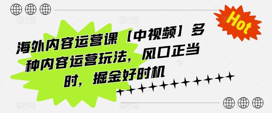 海外内容运营课【中视频】多种内容运营玩法，风口正当时，掘金好时机-鼎铸网