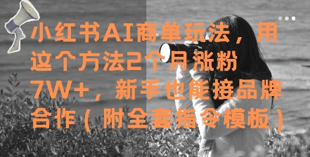 小红书AI商单玩法，用这个方法2个月涨粉7W+，新手也能接品牌合作(附全套指令模板)-鼎铸网