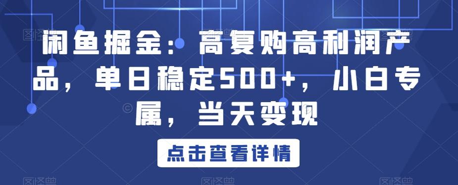 闲鱼掘金：高复购高利润产品，单日稳定500+，小白专属，当天变现-鼎铸网