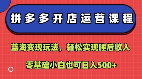 拼多多开店运营课程：蓝海变现玩法，轻松实现睡后收入，零基础小白也可日入5张-鼎铸网