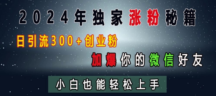 2024年独家涨粉秘籍，日引流300+创业粉，加爆你的微信好友，小白也能轻松上手-鼎铸网