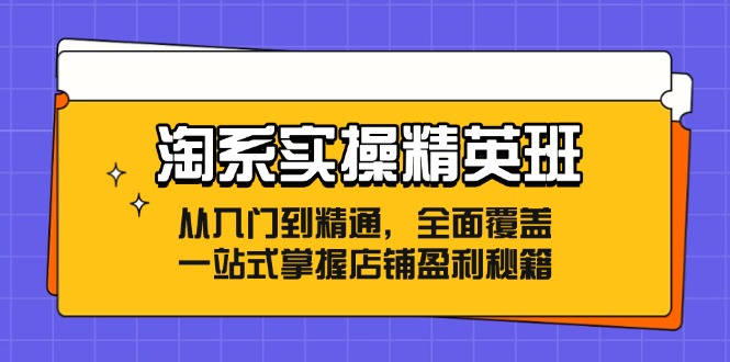 淘系实操精英班：从入门到精通，全面覆盖，一站式掌握店铺盈利秘籍-鼎铸网