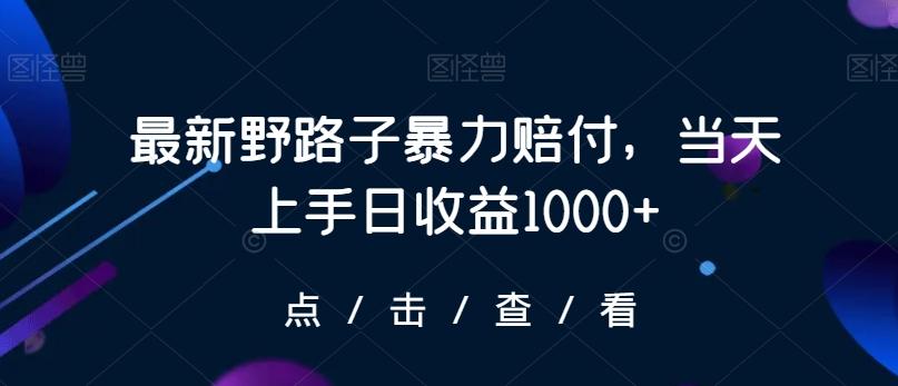 最新野路子暴力赔付，当天上手日收益1000+【仅揭秘】-鼎铸网