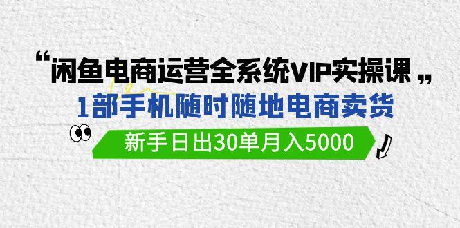(9547期)闲鱼电商运营全系统VIP实战课，1部手机随时随地卖货，新手日出30单月入5000-鼎铸网