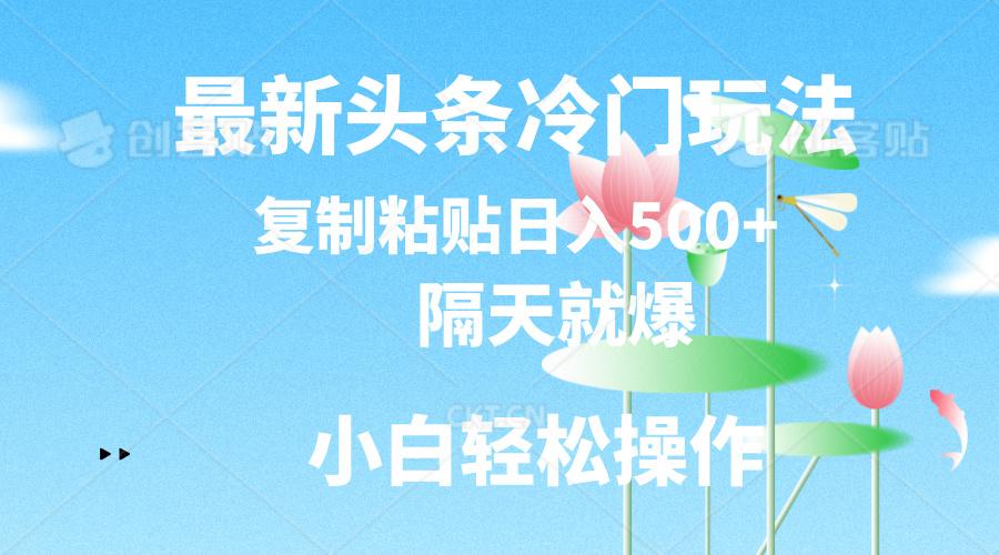 最新头条冷门玩法，隔天就爆，复制粘贴日入500+-鼎铸网
