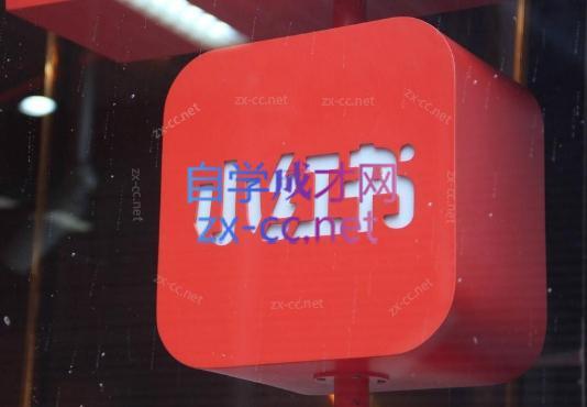 伊伊·红薯【高级班】运营课-鼎铸网