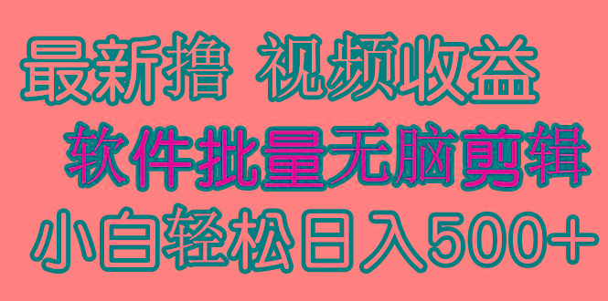 (9569期)发视频撸收益，软件无脑批量剪辑，第一天发第二天就有钱-鼎铸网