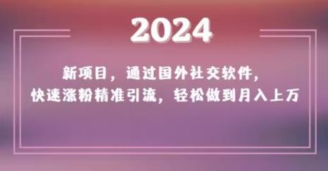 2024新项目，通过国外社交软件，快速涨粉精准引流，轻松做到月入上万【揭秘】-鼎铸网