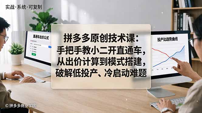 拼多多原创技术课：手把手教小二开直通车，从出价计算到模式搭建，破解低投产、冷启动难题-鼎铸网