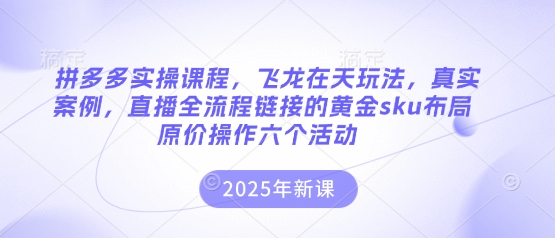 拼多多实操课程，飞龙在天玩法，真实案例，直播全流程链接的黄金sku布局原价操作六个活动-鼎铸网