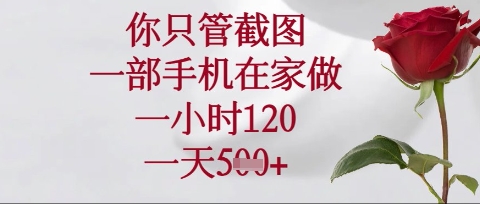 你只管截图，一部手机在家操作，一小时120.一天5张【揭秘】-鼎铸网