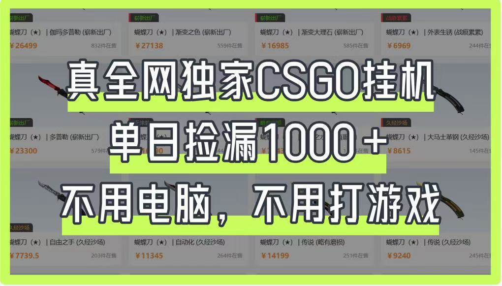 真全网独家CSGO挂机，单日捡漏1000+，不用电脑，不用养号-鼎铸网