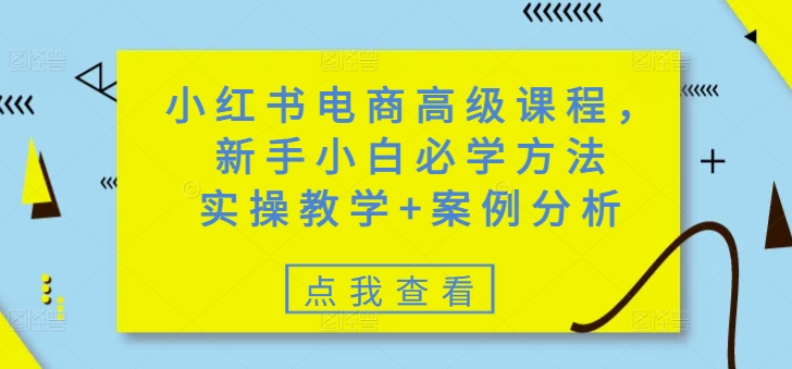 小红书电商高级课程，新手小白必学方法，实操教学+案例分析-鼎铸网