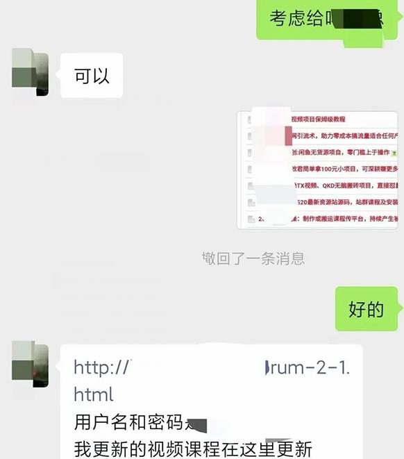 小彬网虚拟资源网站培训课程，如何一个月快速做出盈利的资源网站(实打实经验)