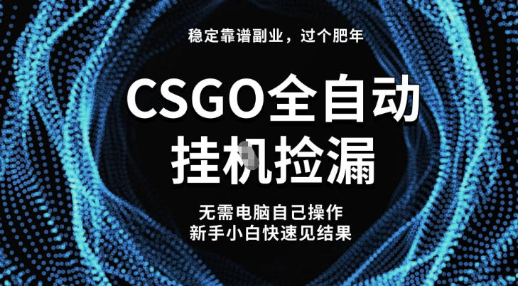 【稳定副业】全球最热门游戏CSGO全自动捡漏，最新玩法，新手小白日入5张+【揭秘】-鼎铸网