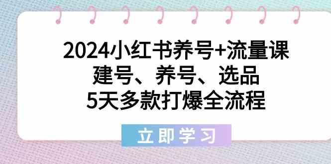 2024小红书养号+流量课：建号、养号、选品，5天多款打爆全流程-鼎铸网