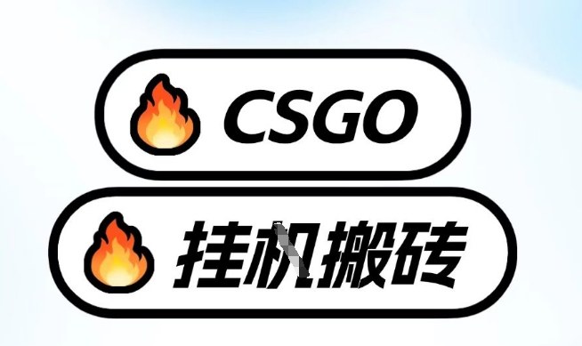 真全网独家CSGO挂G，最新玩法,单日捡漏1K+，不用电脑，不用打游戏【揭秘】-鼎铸网