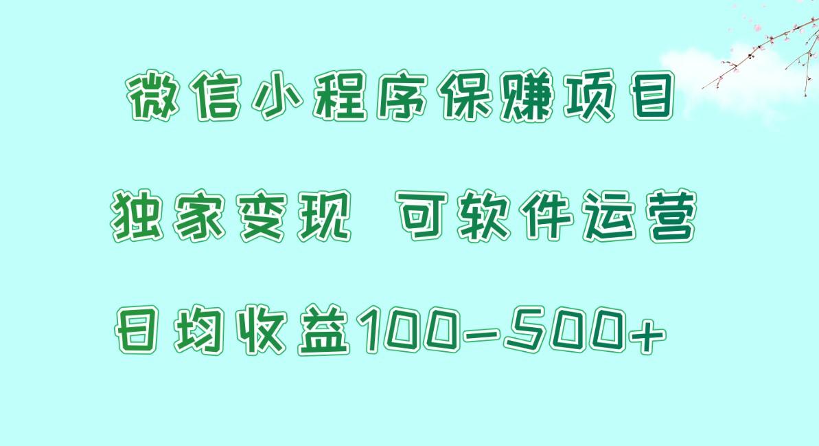 微信小程序保赚项目，日均收益100~500+，独家变现，可软件运营-鼎铸网