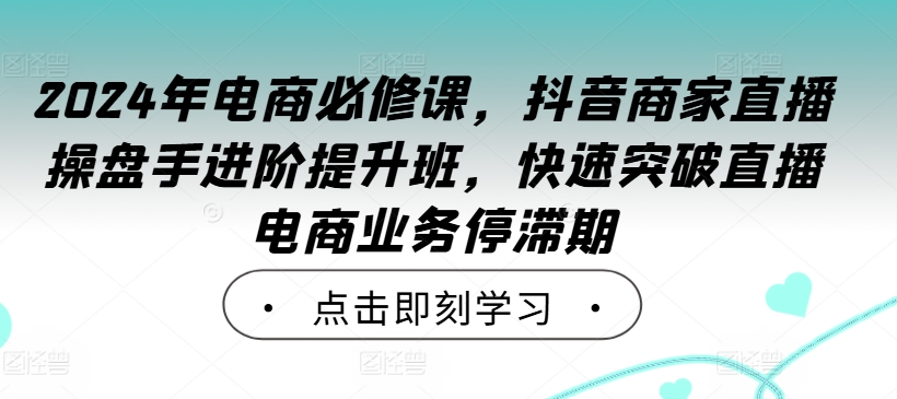 2024年电商必修课，抖音商家直播操盘手进阶提升班，快速突破直播电商业务停滞期-鼎铸网