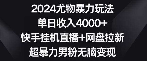 2024尤物暴力玩法，单日收入4000+，快手挂机直播+网盘拉新，超暴力男粉无脑变现【揭秘】-鼎铸网