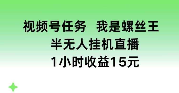 视频号任务，我是螺丝王， 半无人挂机1小时收益15元【揭秘】-鼎铸网