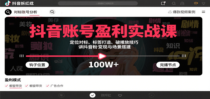 抖音账号盈利实战课，定位对标、标签打造、破播放技巧，讲涨粉变现与场景搭建-鼎铸网