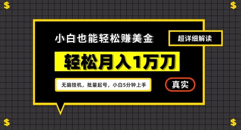 谷歌看广告撸美金2.0，无脑挂机，多号操作，月入1万刀【揭秘】-鼎铸网
