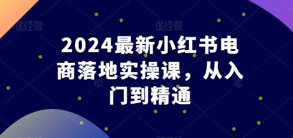 2024最新小红书电商落地实操课，从入门到精通-鼎铸网