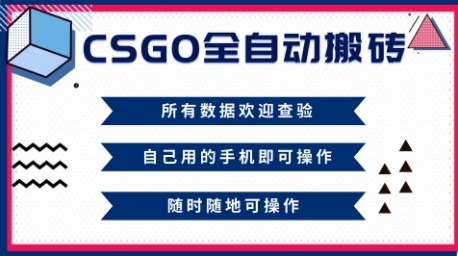 CSGO全自动搬砖，年底钱回家好项目，当天可拿到结果，新手小白轻松月入1W+【揭秘】-鼎铸网
