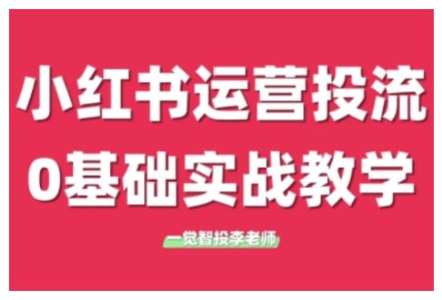 小红书运营投流，小红书广告投放从0到1的实战课，学完即可开始投放(更新26年)-鼎铸网