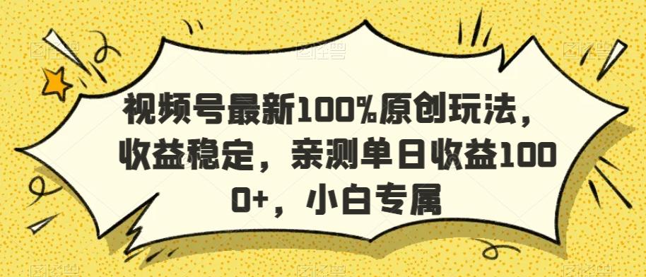 视频号最新100%原创玩法，收益稳定，亲测单日收益1000+，小白专属【揭秘】-鼎铸网