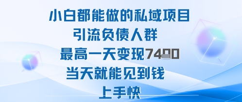 2025年小白都能做的私域项目引流负债人群最高一天变现1k+高变现难度低当天就能见到钱上手快-鼎铸网
