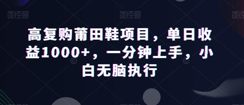 高复购莆田鞋项目，单日收益1000+，一分钟上手，小白无脑执行-鼎铸网