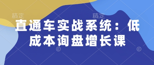 直通车实战系统：低成本询盘增长课，让个人通过技能实现升职加薪，让企业低成本获客，订单源源不断-鼎铸网