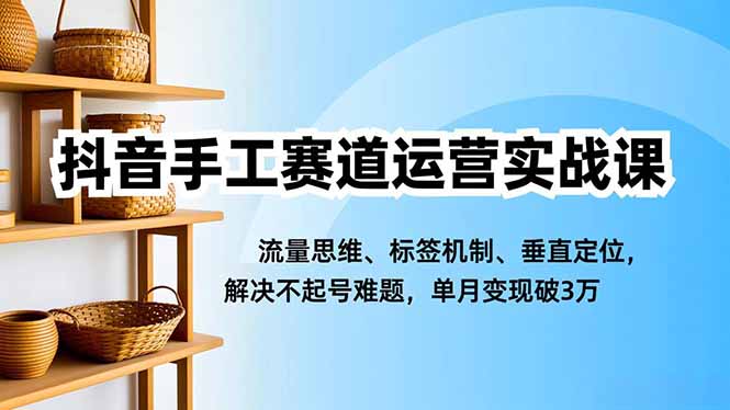 抖音手工赛道运营实战课，流量思维、标签机制、垂直定位，解决不起号难题，单月变现破3万-鼎铸网