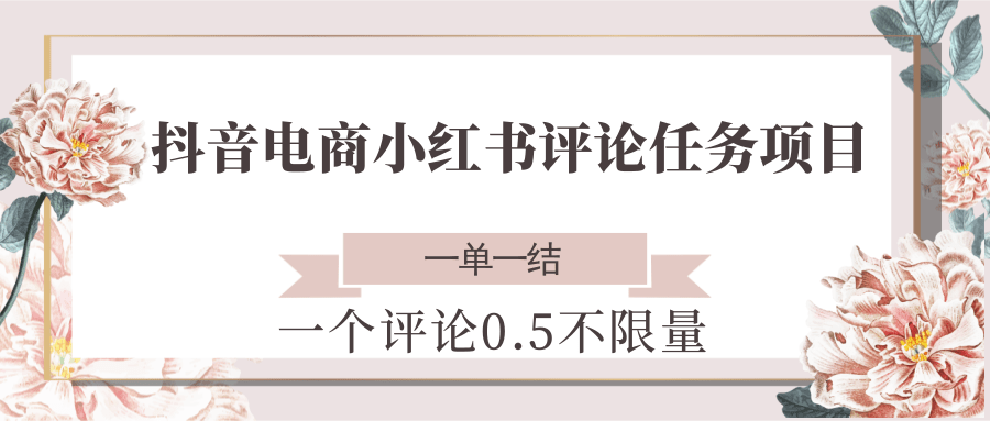 抖音电商小红书评论任务项目，一个评论0.5，一单一结 不限量-鼎铸网