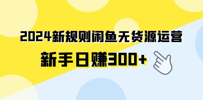 (9522期)2024新规则闲鱼无货源运营新手日赚300+-鼎铸网