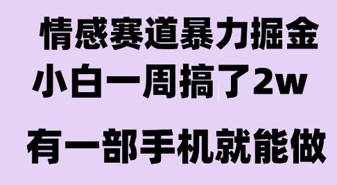 情感暴力掘金项目，新人操作一周挣了2W，长期稳定小白可做【揭秘】-鼎铸网