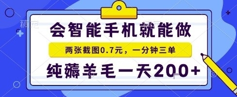 手机项目，二十秒一单，纯薅羊毛一天2张+做就有【揭秘】-鼎铸网